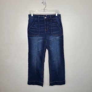 Hydraulic High Rise Murray Wide Leg Button Crop Jeans Size 4